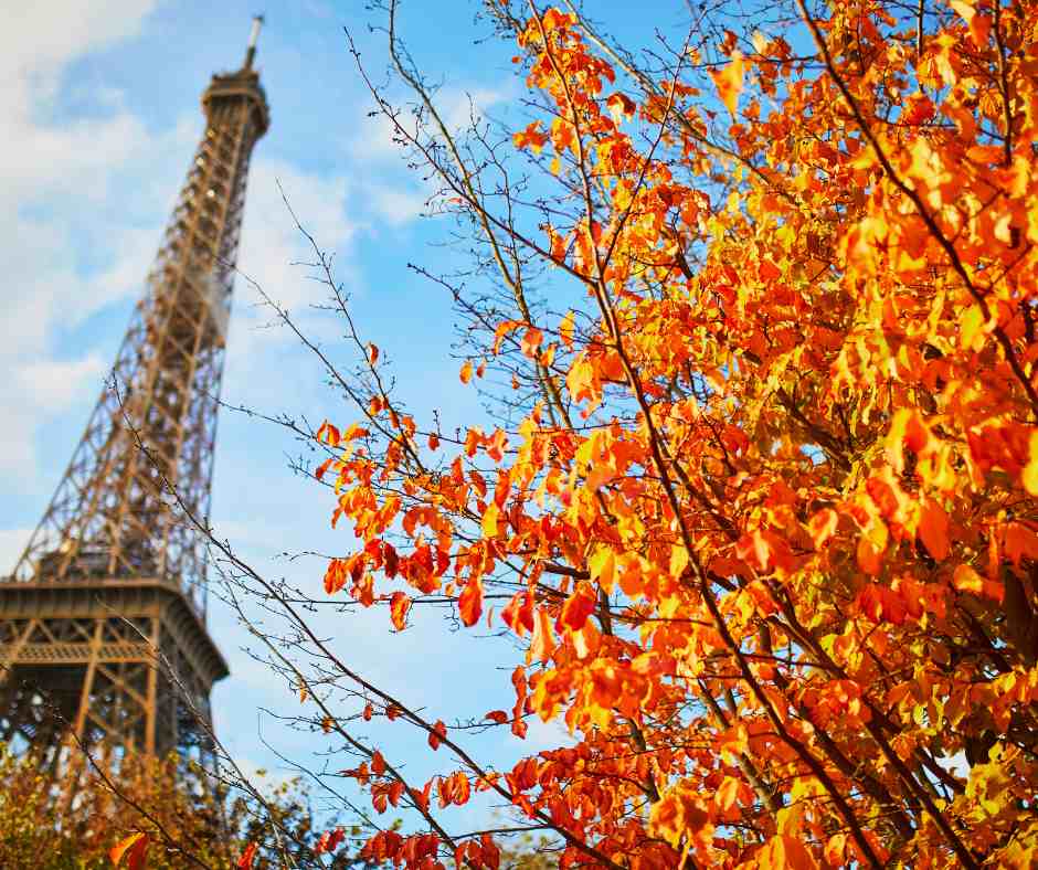 Paris in autumn